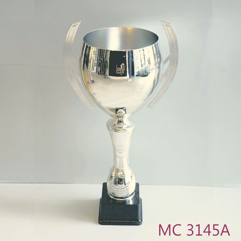 MC 3145A.jpg